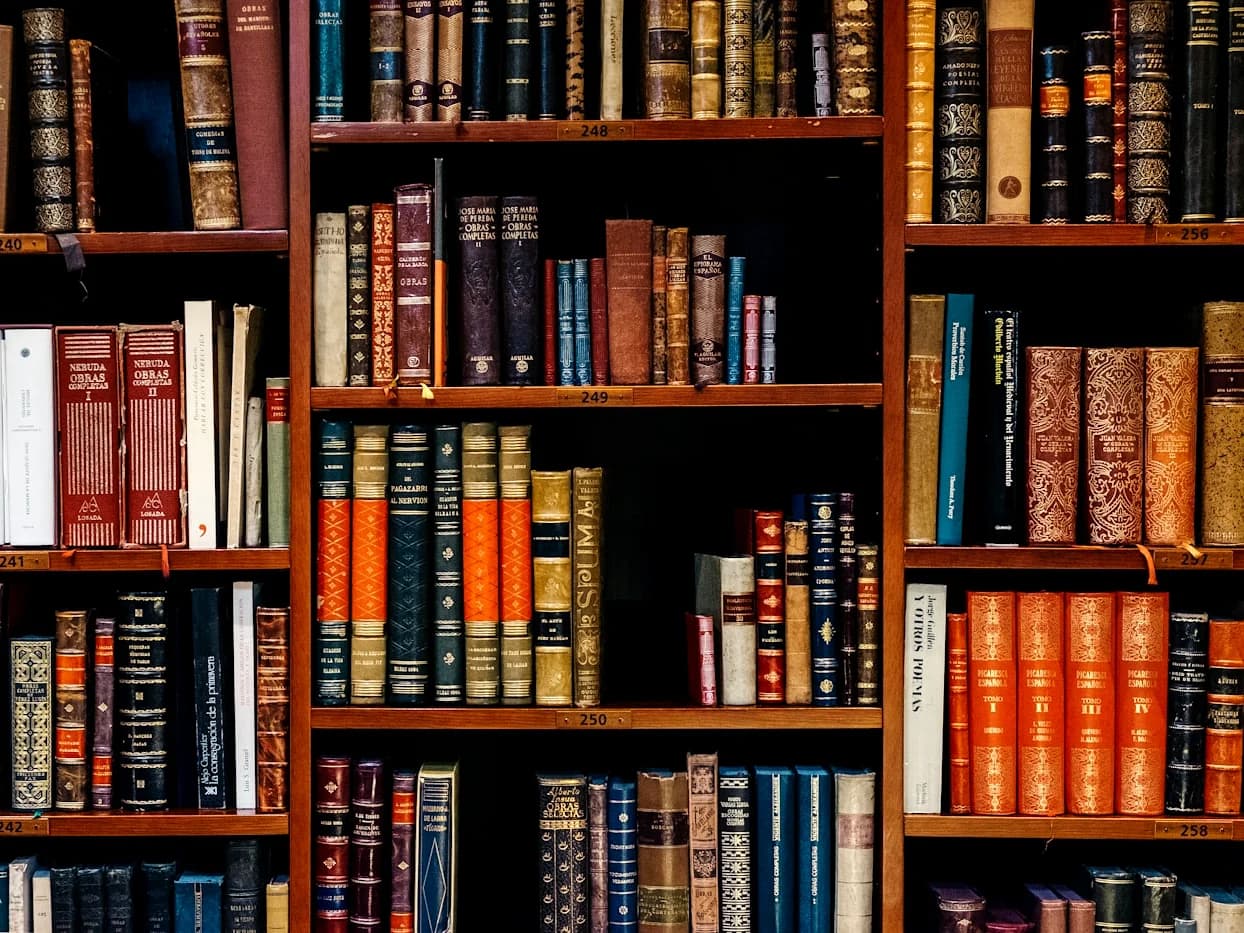 Advogada em ambiente de trabalho jurídico revisando documentos com acervo bibliográfico